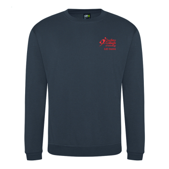Dudley College CAT Centre Solid Grey Sweatshirt Dudley College CAT Centre Solid Grey Sweatshirt