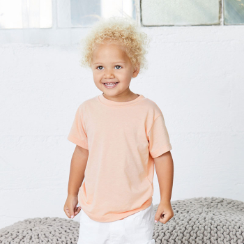 Bella+Canvas Toddler Triblend Short Sleeve Tee Bella+Canvas Toddler Triblend Short Sleeve Tee