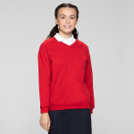 Banner Classic V-Neck Sweatshirt