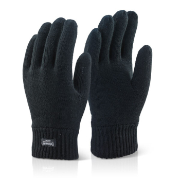 Beeswift Thinsulate Gloves